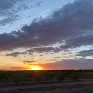 Meet your Posher, Tabitha